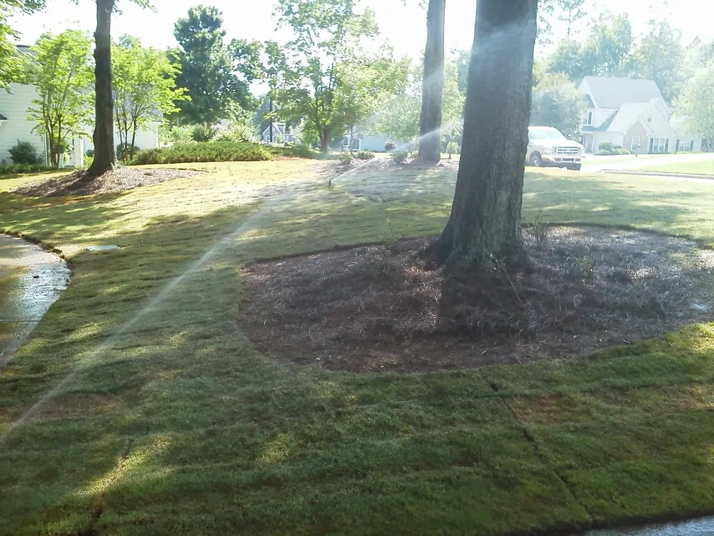 Professional yard maintenance experts serving Winder, GA - JSF Enterprises