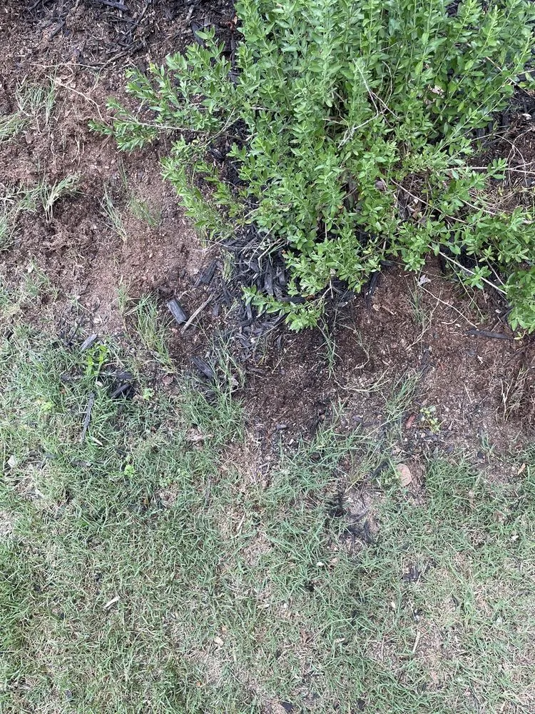 Top-rated lawn mowing service for beautiful yards across Hoschton, GA - JSF landscaping