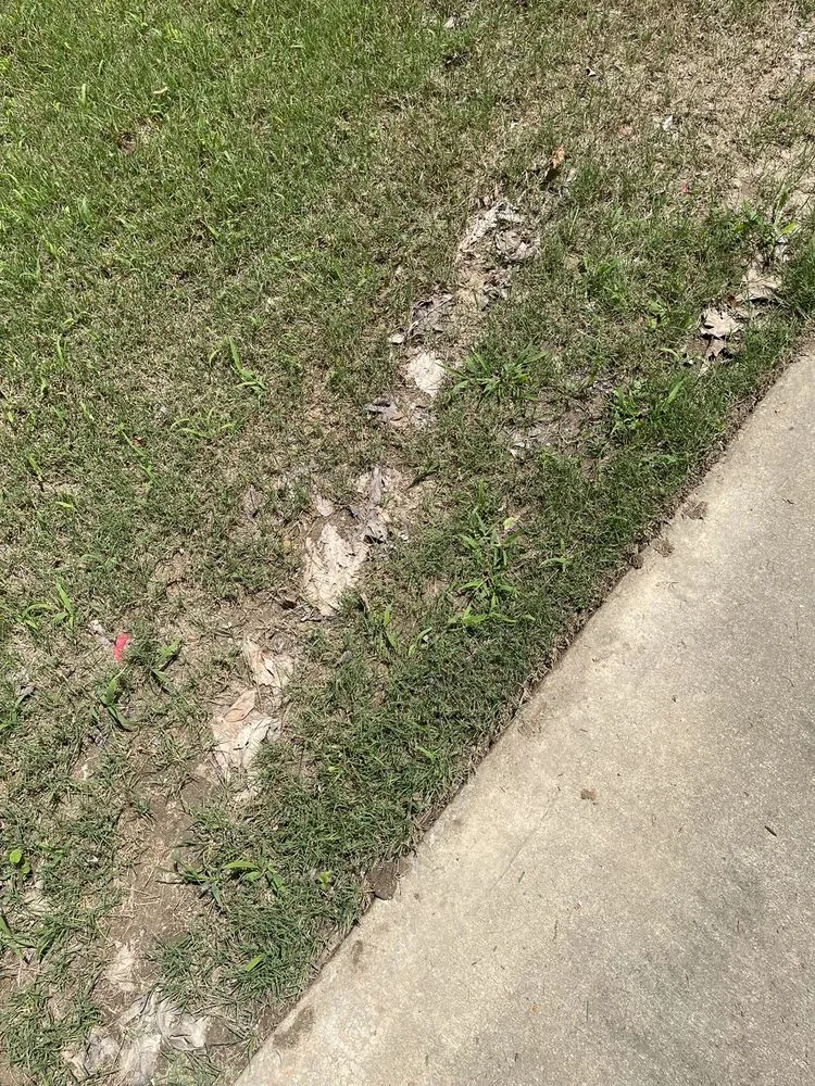 Reliable landscape installation near you in Hoschton, GA by JSF landscaping