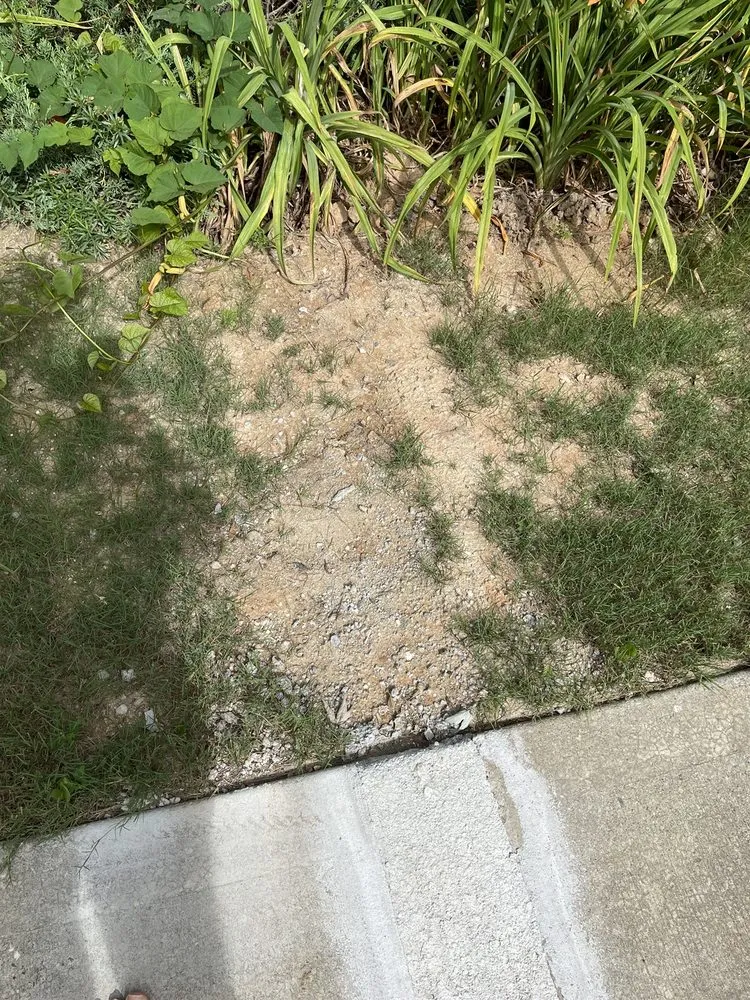 Local lawn care service in Hoschton, GA - JSF landscaping