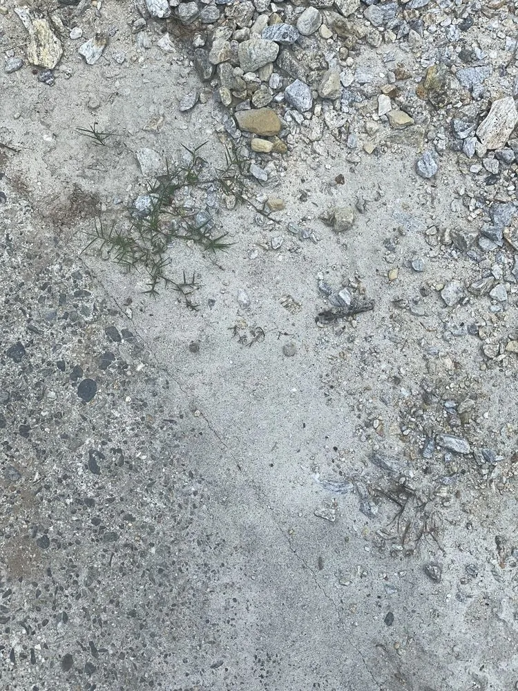 Affordable yard maintenance in Hoschton, GA by JSF landscaping