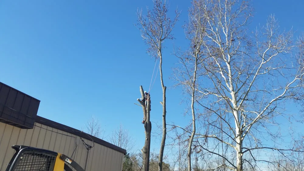 Local residential landscaping for residential properties in Winder, GA by JSF Landscaping