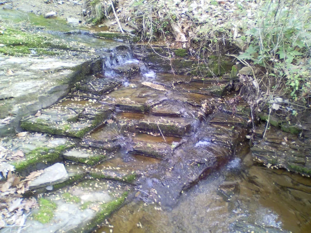 Local landscape design experts serving Winder, GA - JSF Landscaping