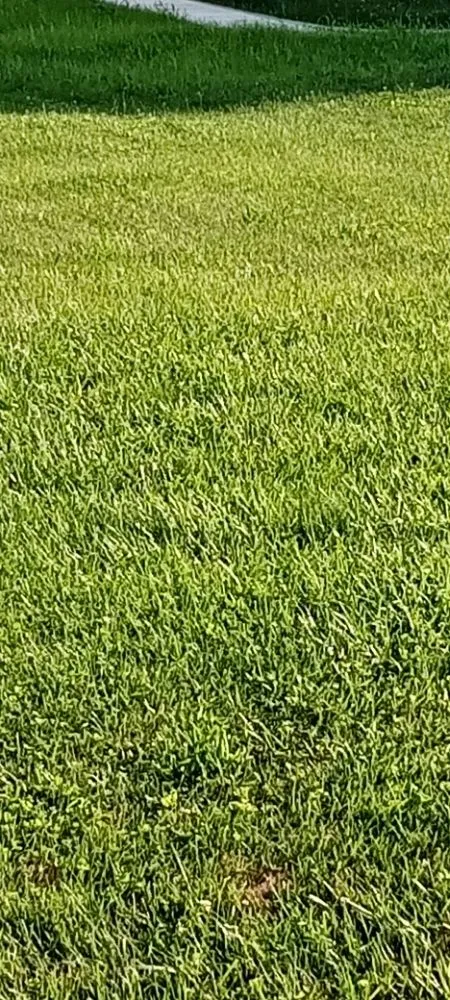 Trusted residential landscaping in Martinsburg, WV by JSHLS