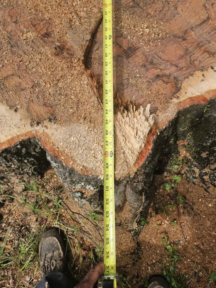 Expert landscape installation in Grand Bay, AL by JSJ Landscaping And Tree Removal