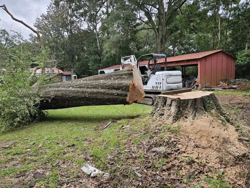 Custom yard cleanup service in Grand Bay, AL by JSJ Landscaping And Tree Removal