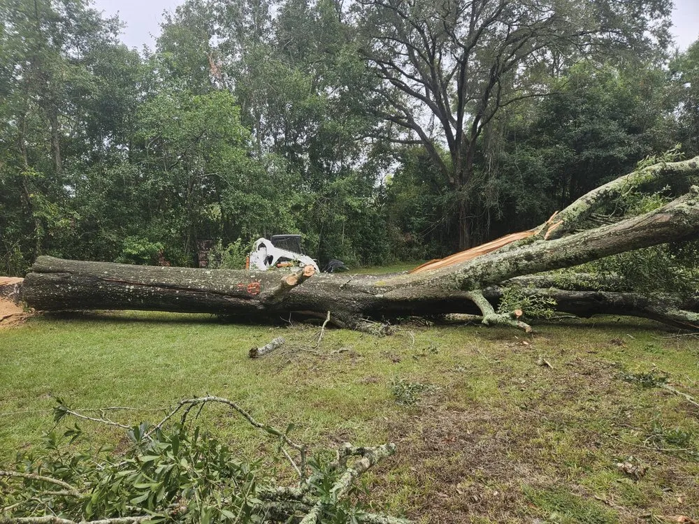 Professional lawn care service with custom design across Grand Bay, AL - JSJ Landscaping And Tree Removal