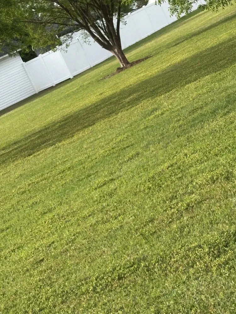 Affordable lawn mowing service for outdoor upgrades in Lexington, SC by JSJJ Lawn care