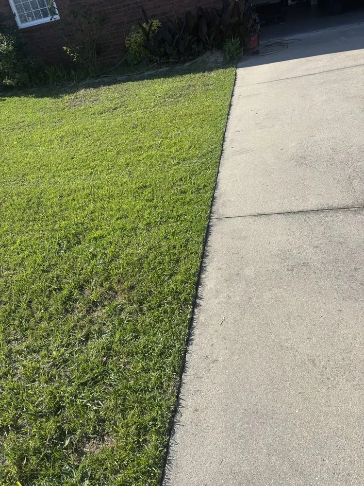 Top-rated residential landscaping experts serving Lexington, SC - JSJJ Lawn care