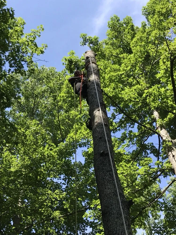Trusted residential landscaping near you in Cedar grove, NC by JSK Services