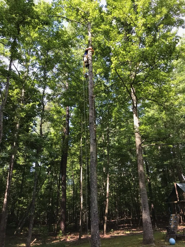 Affordable yard maintenance in Cedar grove, NC - JSK Services