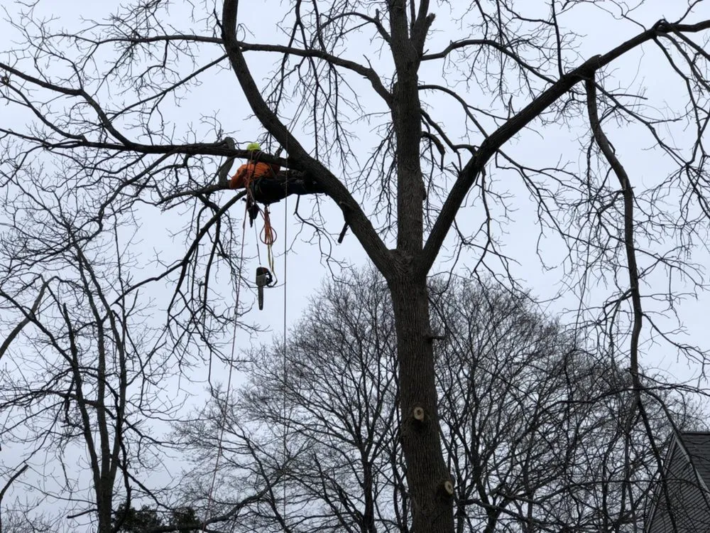 Professional landscape installation in North Attleborough, MA by JSL Landscape and Snow Plowing