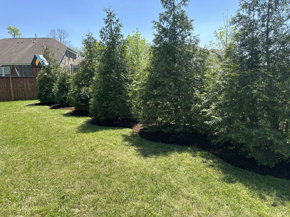 Affordable lawn care service for outdoor upgrades in Spring Hill, TN by J&SLLS