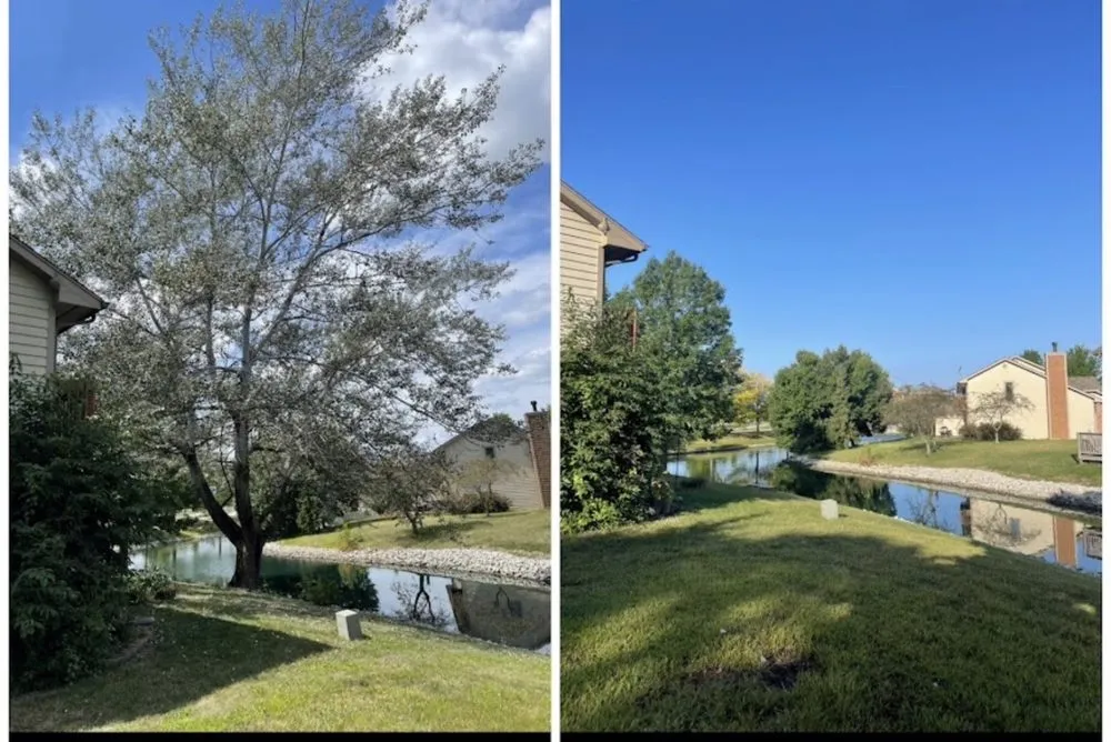 Local lawn care service in Highland, IN - JSM Tree Services