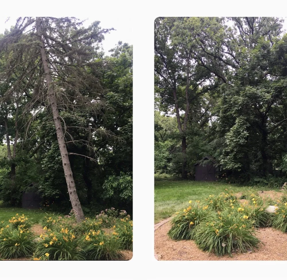 Top-rated lawn care service in Highland, IN - JSM Tree Services