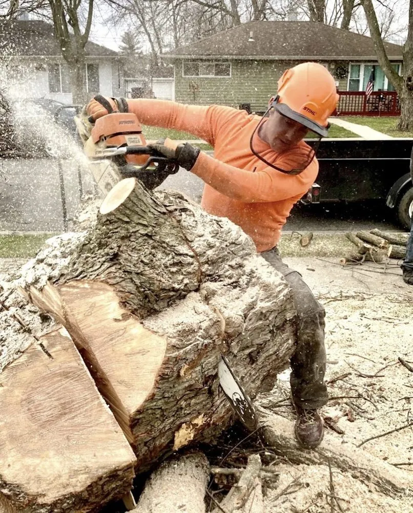 Top-rated outdoor landscaping in Highland, IN - JSM Tree Services