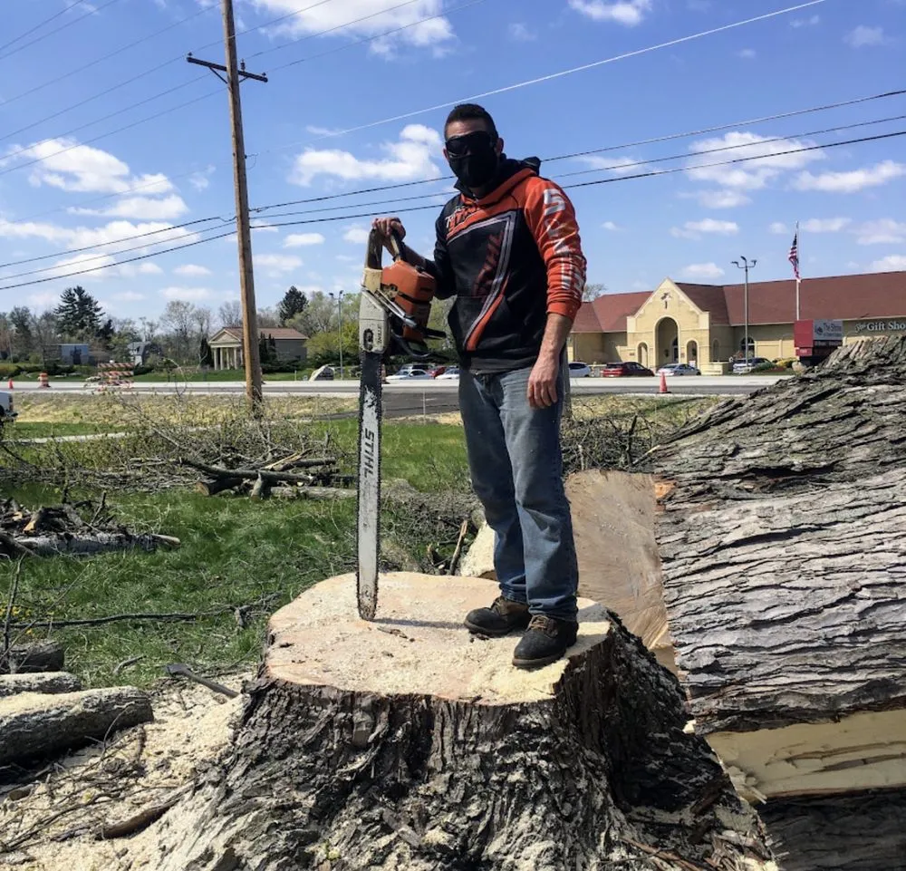 Top-rated yard cleanup service for outdoor upgrades across Highland, IN - JSM Tree Services