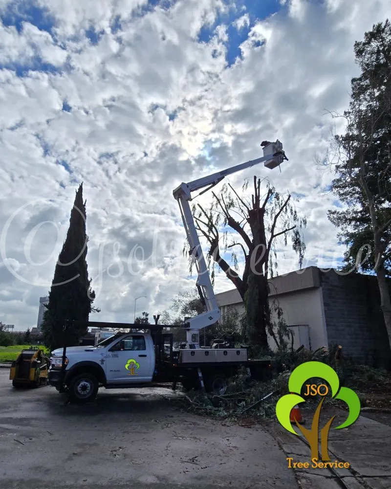 Trusted lawn mowing service for outdoor upgrades across Morgan Hill, CA - JSO Tree Service