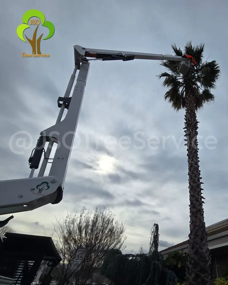 Affordable lawn mowing service for homes in Morgan Hill, CA by JSO Tree Service