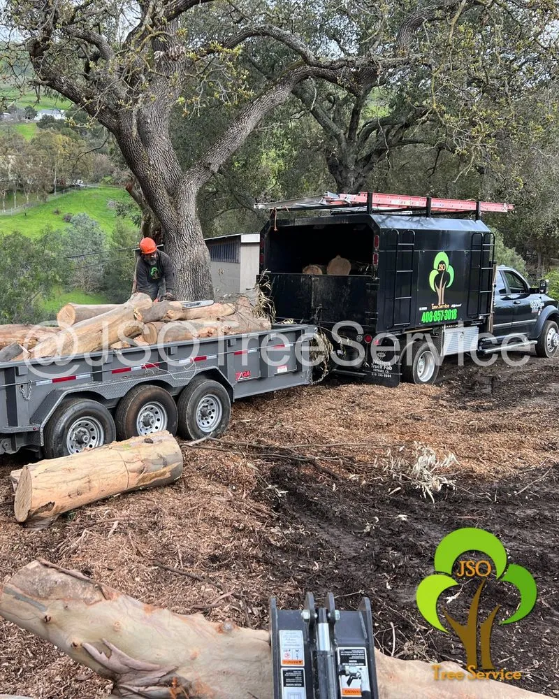 Trusted lawn care service for residential properties across Morgan Hill, CA - JSO Tree Service