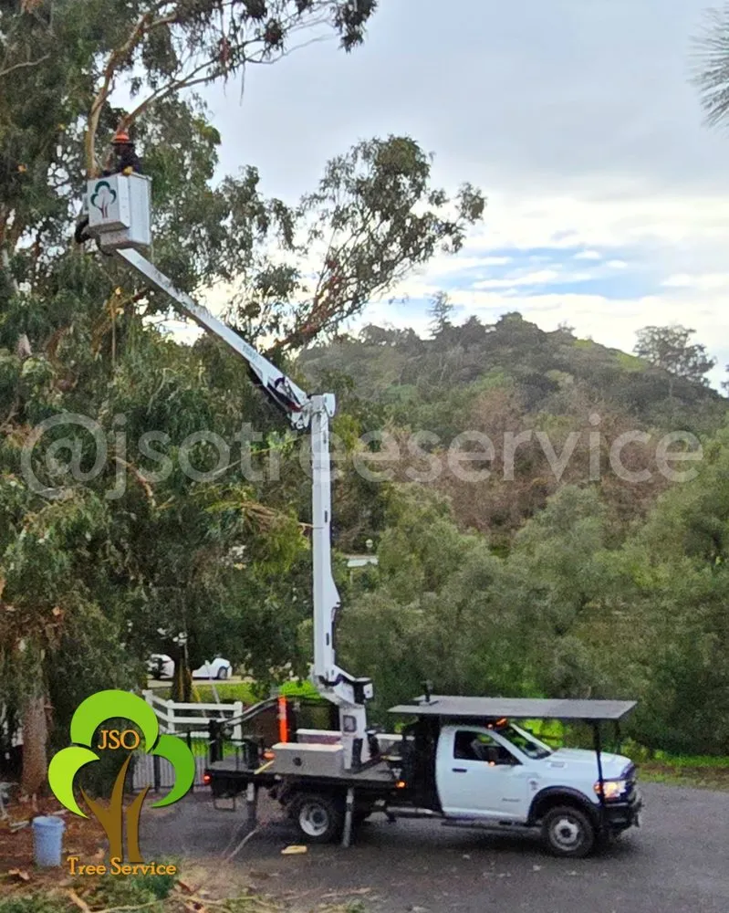 Expert landscape installation experts serving Morgan Hill, CA - JSO Tree Service