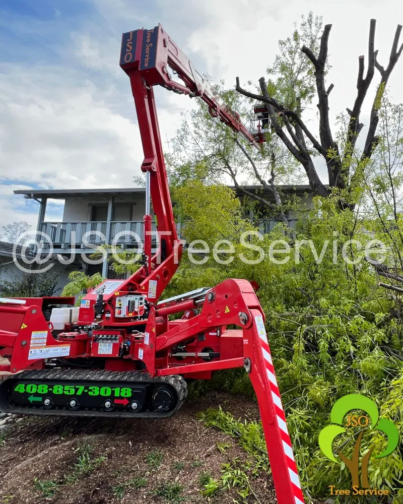 Trusted outdoor landscaping with custom design across Morgan Hill, CA - JSO Tree Service
