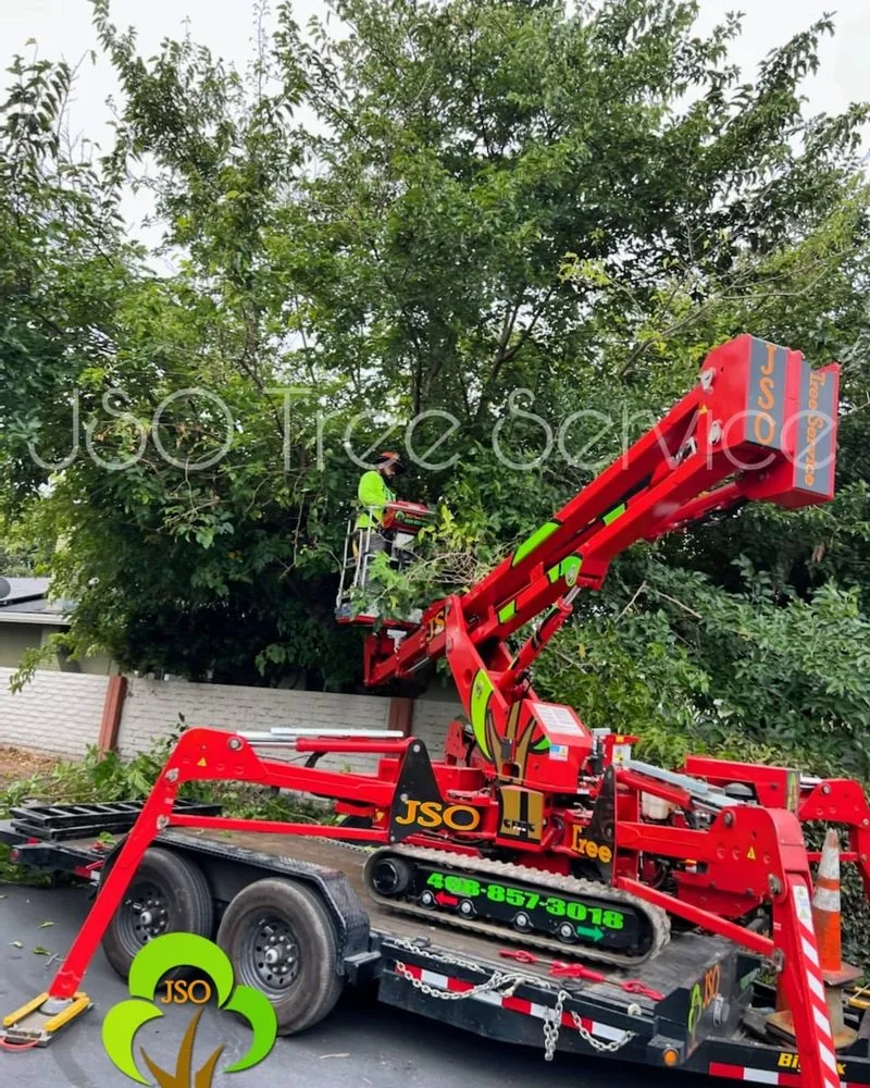 Local yard maintenance for beautiful yards across Morgan Hill, CA - JSO Tree Service