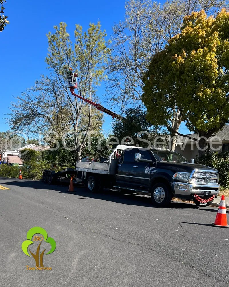 Top-rated lawn mowing service for residential properties in Morgan Hill, CA by JSO Tree Service
