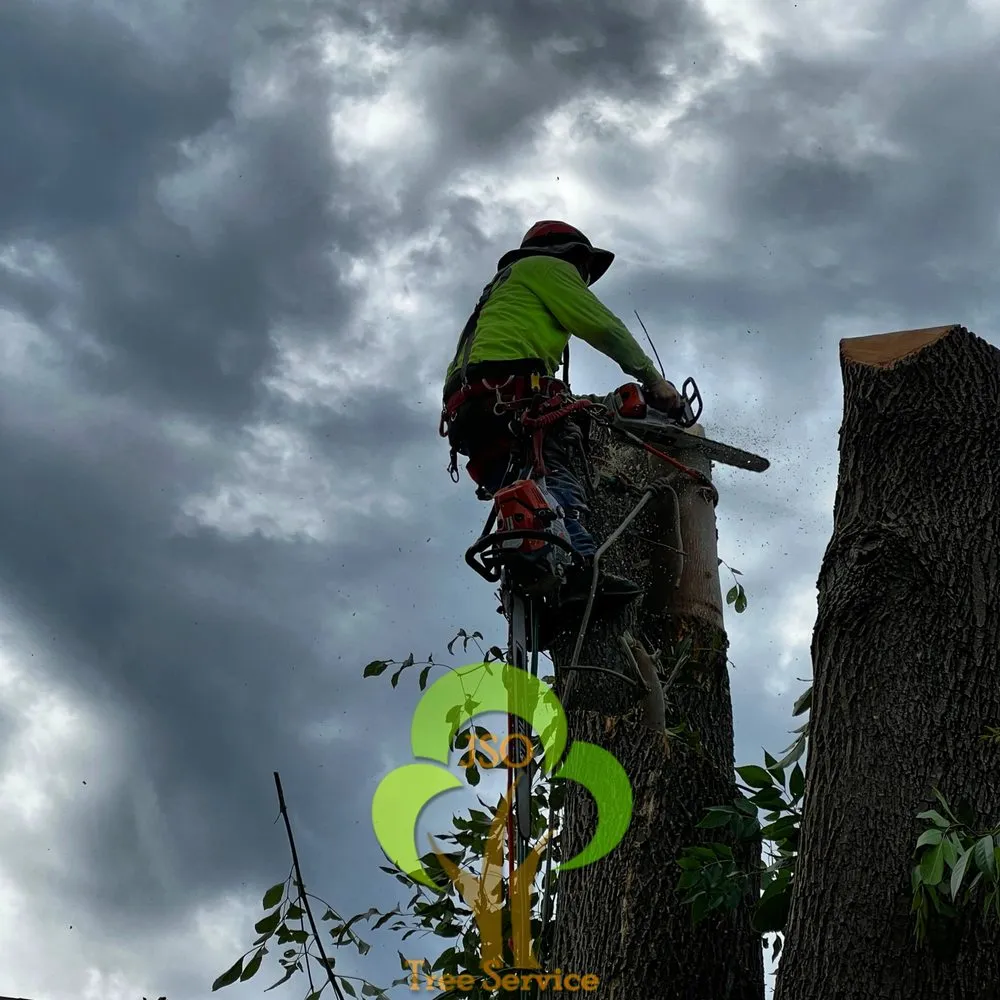 Professional residential landscaping for residential properties across Morgan Hill, CA - JSO Tree Service