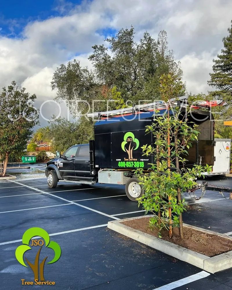Top-rated residential landscaping with custom design across Morgan Hill, CA - JSO Tree Service