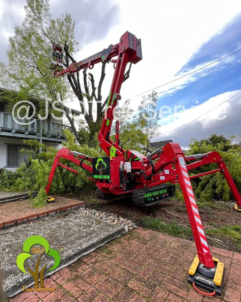 Trusted lawn mowing service in Morgan Hill, CA by JSO Tree Service