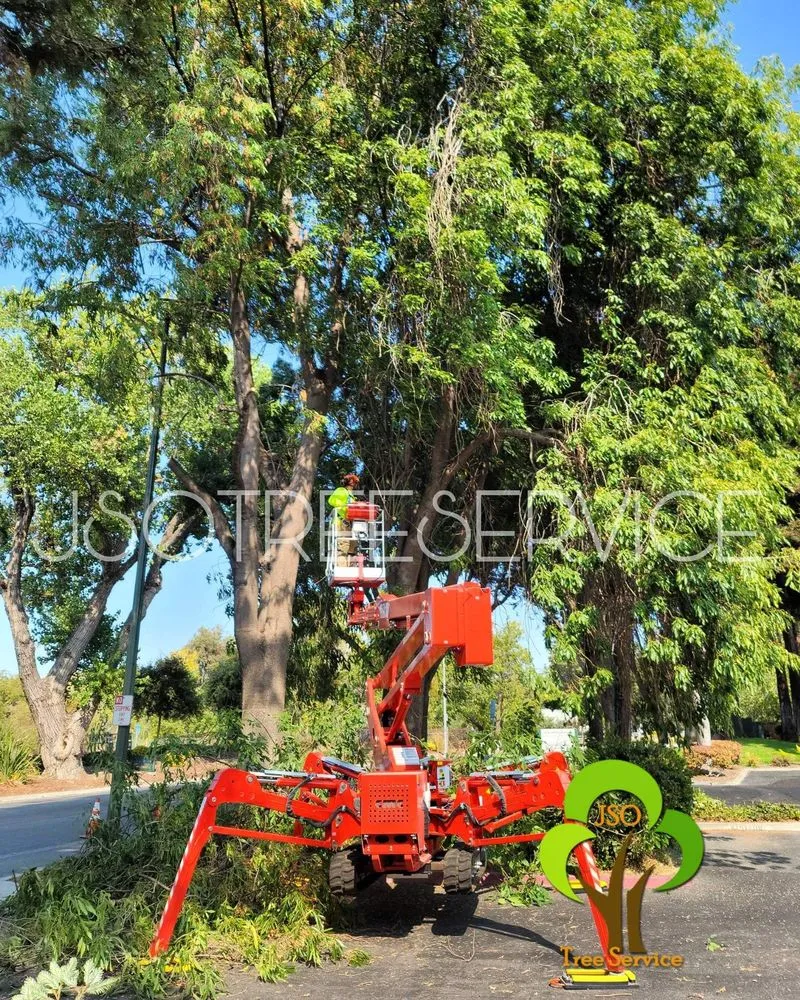 Expert landscape installation in Morgan Hill, CA by JSO Tree Service