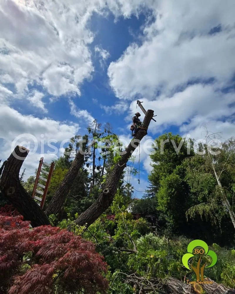 Affordable garden landscaping in Morgan Hill, CA by JSO Tree Service