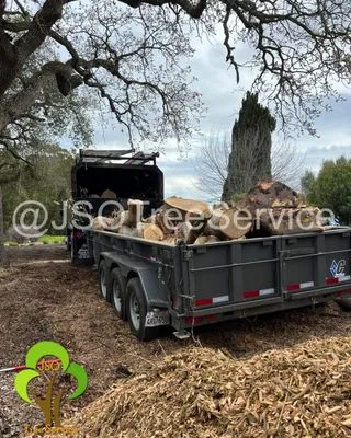 JSO Tree Service Logo