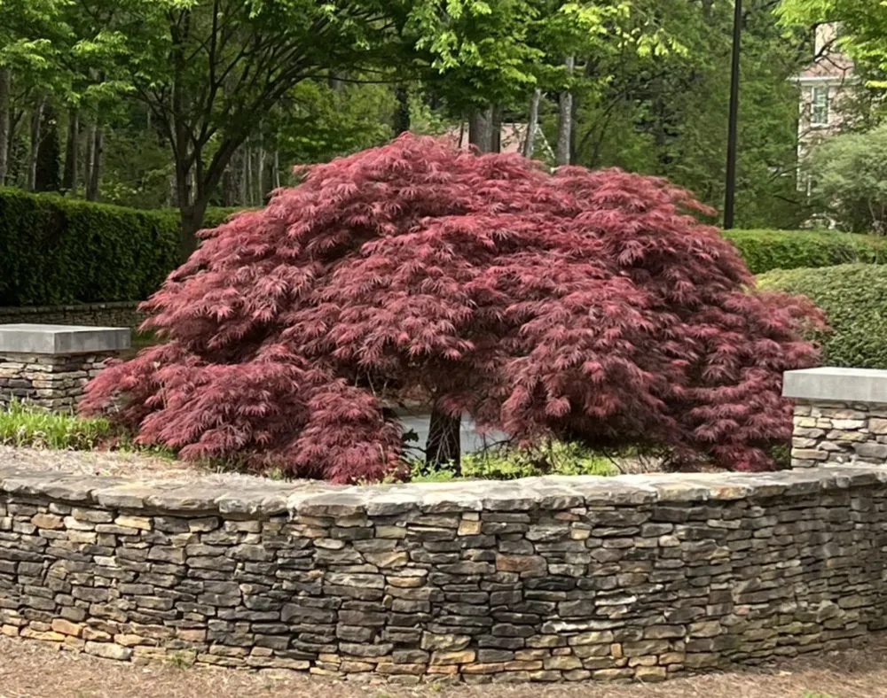 Affordable landscaping services for homes across McDonough, GA - J&Son Landcare