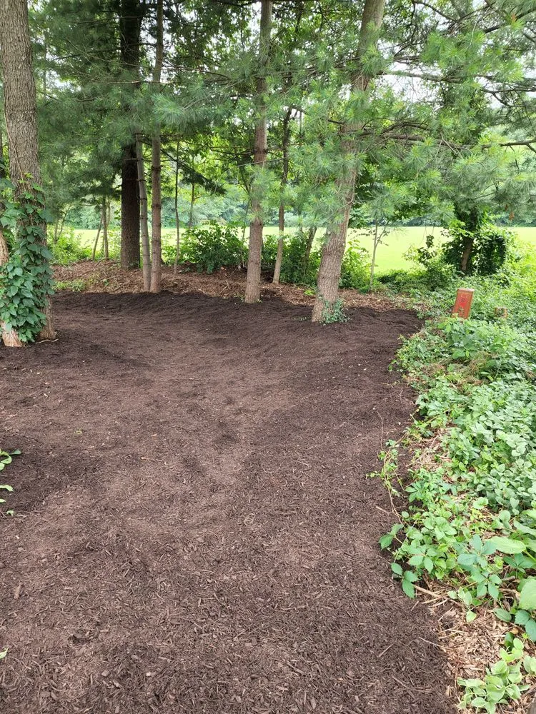 Local residential landscaping with custom design across North Liberty, IN - J&Son