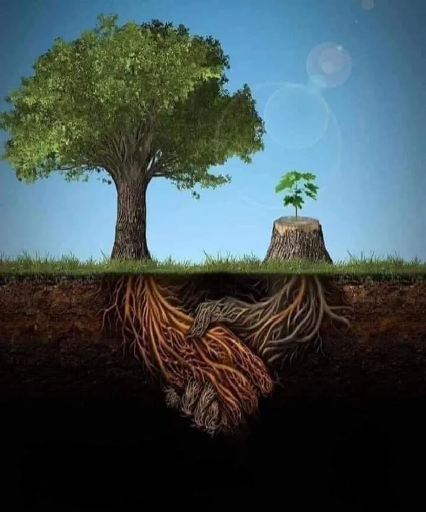 Custom landscape design for year-round maintenance in North Liberty, IN by J&Son