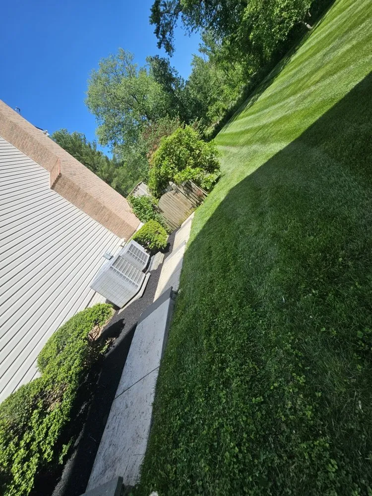 Reliable yard cleanup service in Sykesville, MD by J&Sons Landscaping