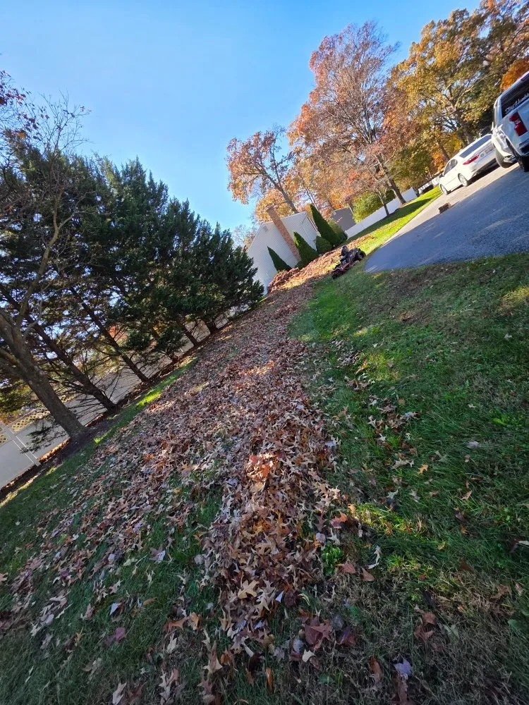 Affordable lawn care service with custom design in Sykesville, MD by J&Sons Landscaping