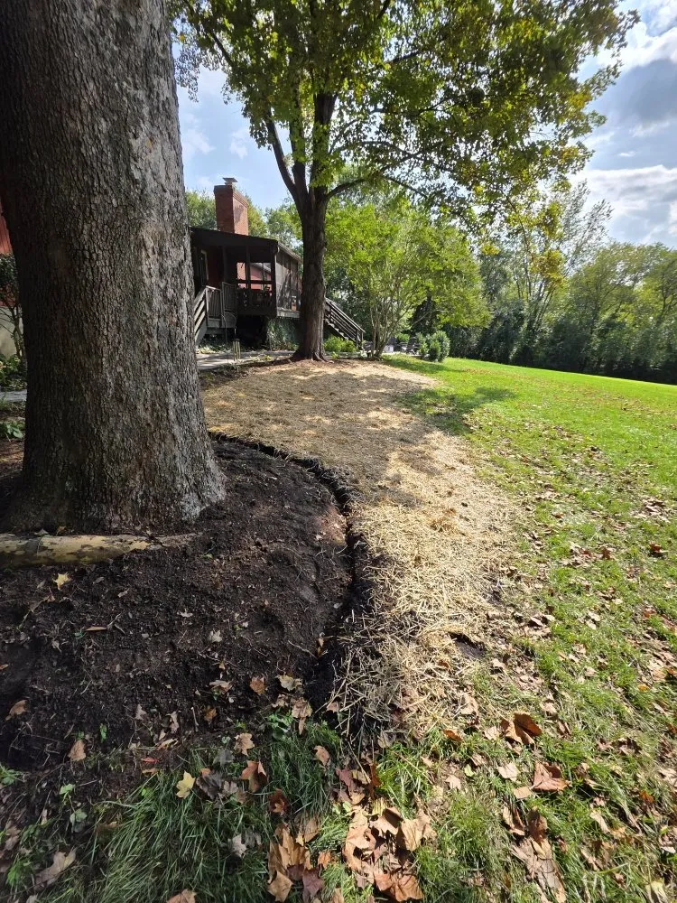 Custom yard cleanup service near you in Sykesville, MD by J&Sons Landscaping