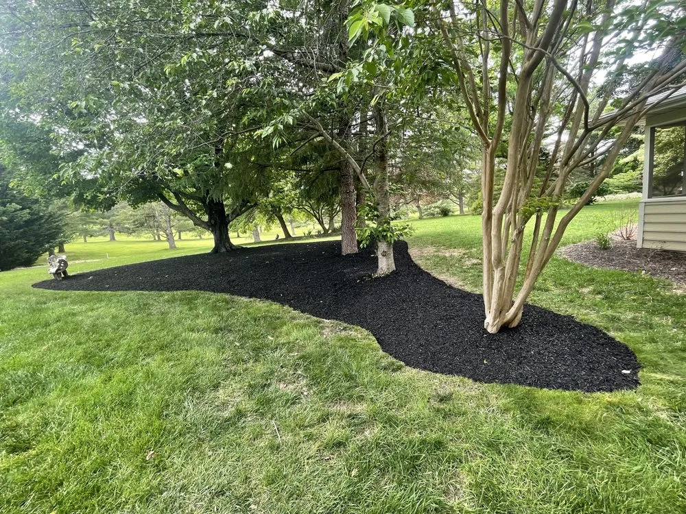 Reliable residential landscaping for outdoor upgrades across Harrisonburg, VA - JSP Landscaping Services