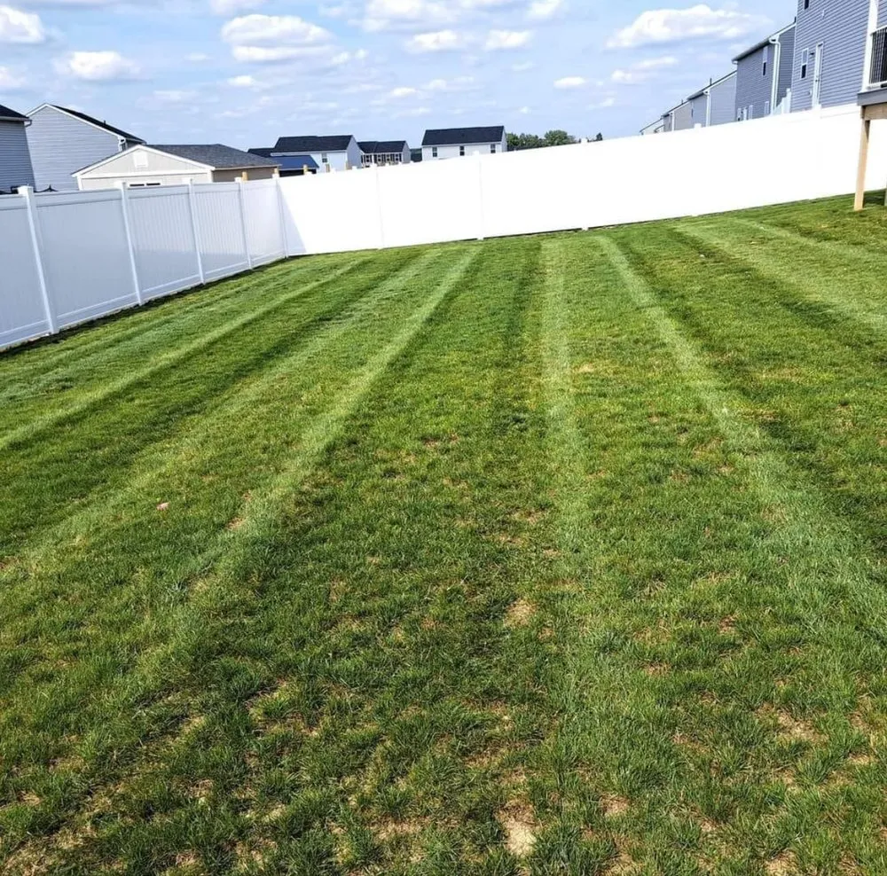 Local landscape installation experts serving Lexington-Fayette, KY - JSP Lawn Care