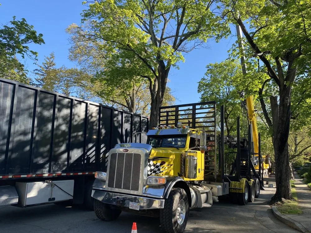 Expert residential landscaping in Ashby, MA by JSP Tree and Landscape