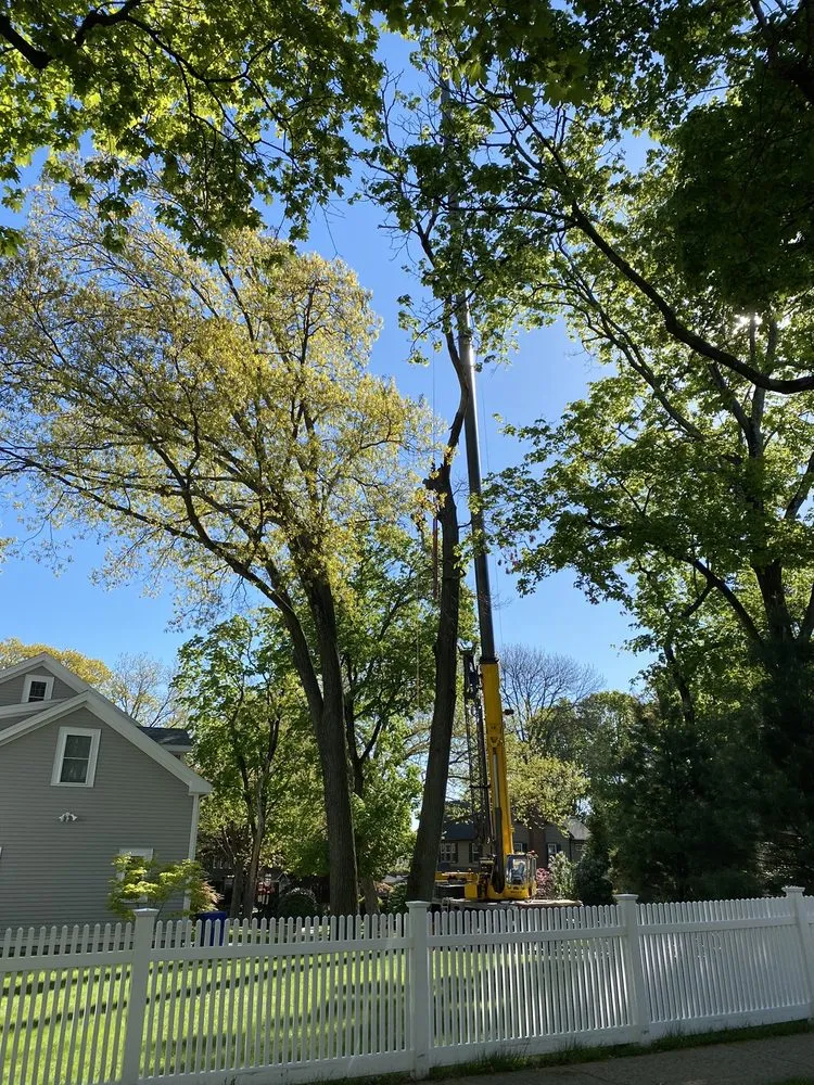 Trusted outdoor landscaping near you across Ashby, MA - JSP Tree and Landscape