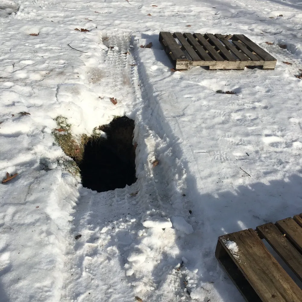 Local landscaping services experts serving Ashby, MA - JSP Tree and Landscape