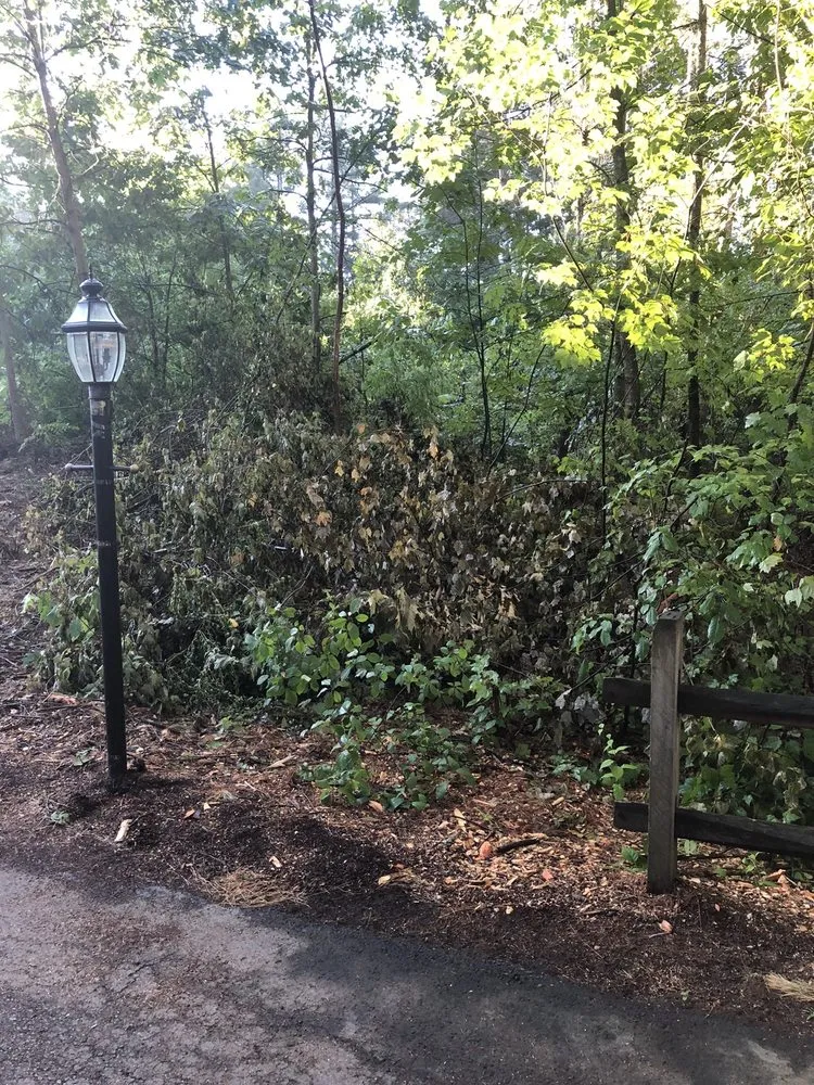 Professional lawn mowing service in Ashby, MA by JSP Tree and Landscape