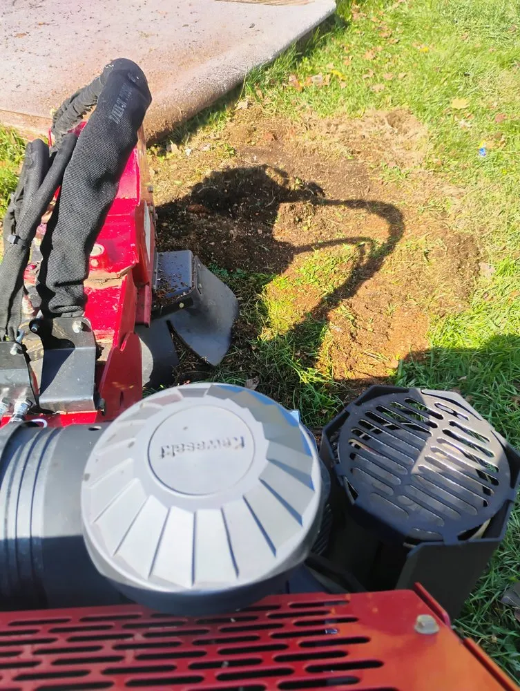 Top-rated yard cleanup service experts serving Donnelsville, OH - JSR Stump Grinding