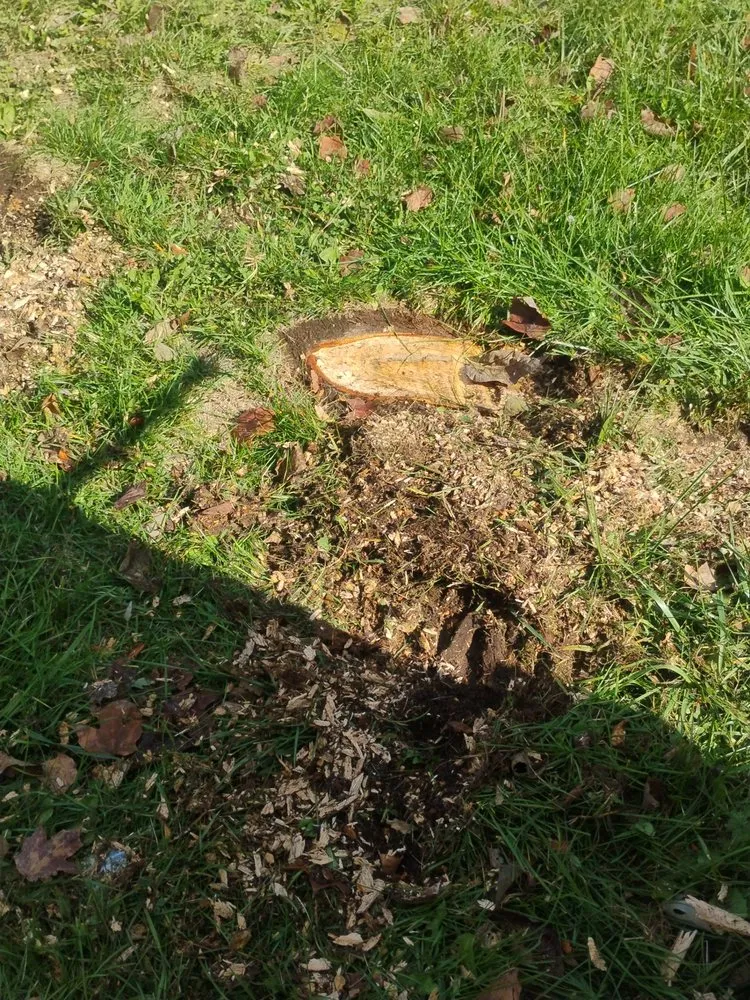 Affordable residential landscaping in Donnelsville, OH - JSR Stump Grinding