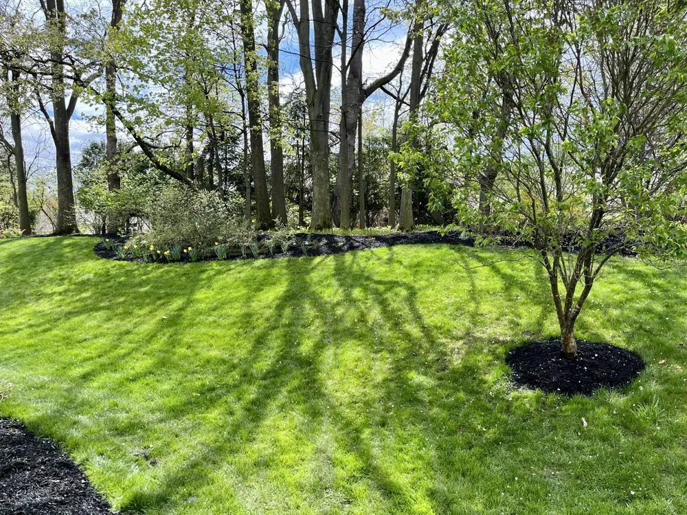 Top-rated yard cleanup service in Brighton, NY - Jss landscaping