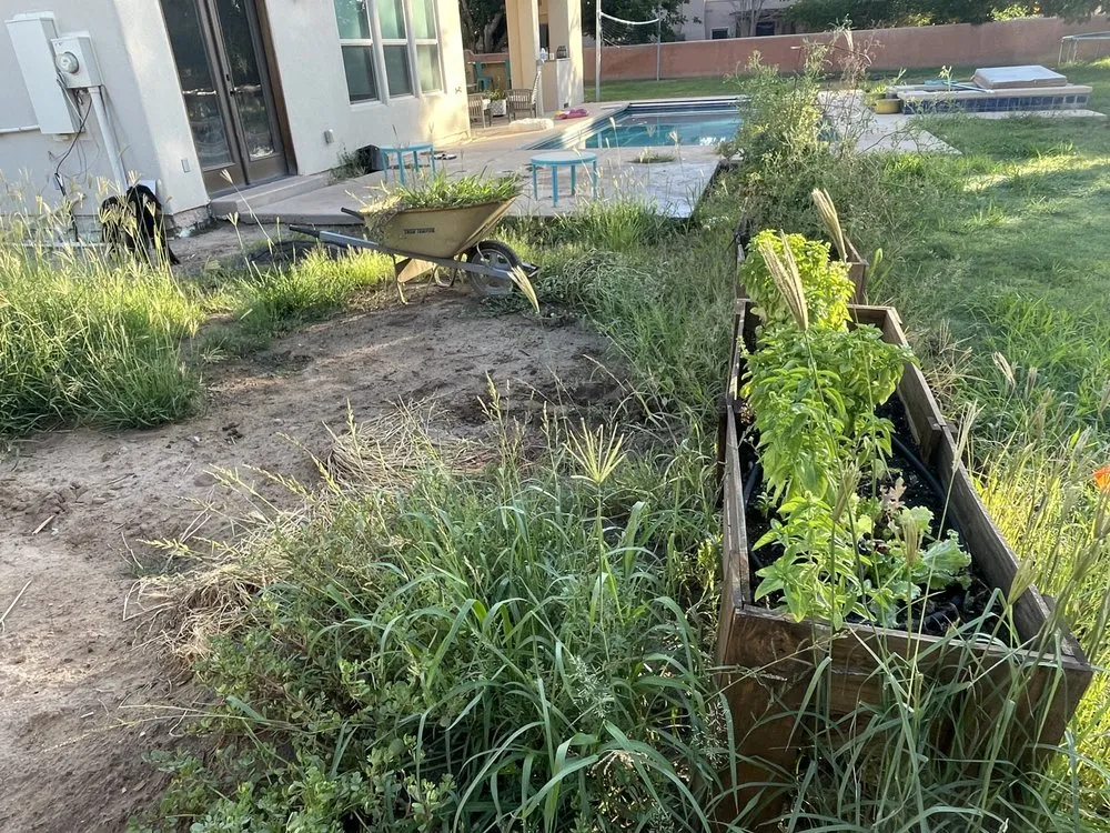 Professional garden landscaping for beautiful yards in Las Cruces, NM by JST Lawn Maintenance